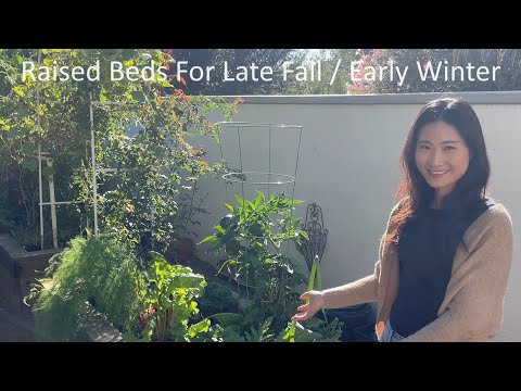 Raised Bed Gardening for Late Fall and Early Winter