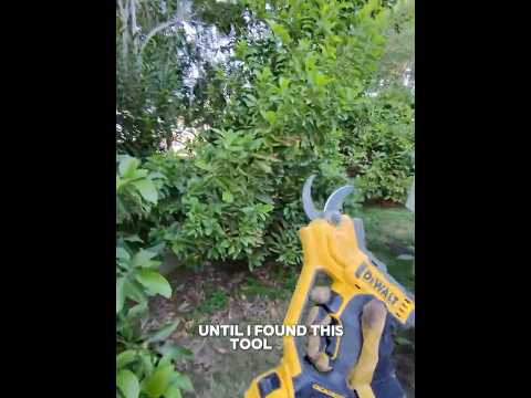 My New Favorite Garden Tool | I Used to Dislike Trimming Oleander, But Now It's Kinda Fun #gardening